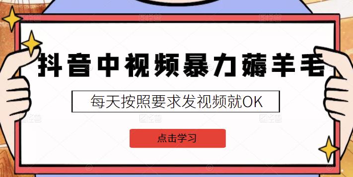 2022抖音中视频暴力薅羊毛白嫖项目：新号每天20块，老号几天几百块，可多号_优优资源网