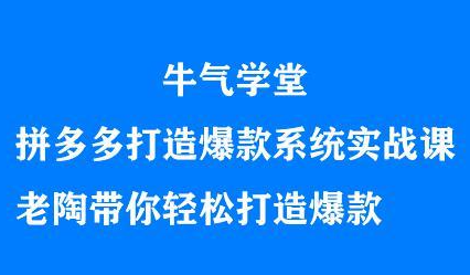 牛气学堂拼多多打造爆款系统实战课，老陶带你轻松打造爆款_优优资源网