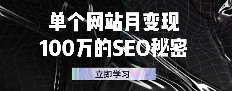 单个网站月变现100万的SEO秘密，百分百做出赚钱站点_优优资源网