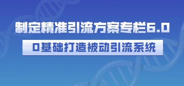 制定精准引流方案专栏6.0，0基础打造被动引流系统_优优资源网