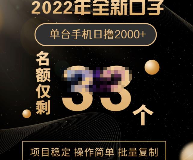 2022年全新口子，手机批量搬砖玩法，一部手机日撸2000_优优资源网