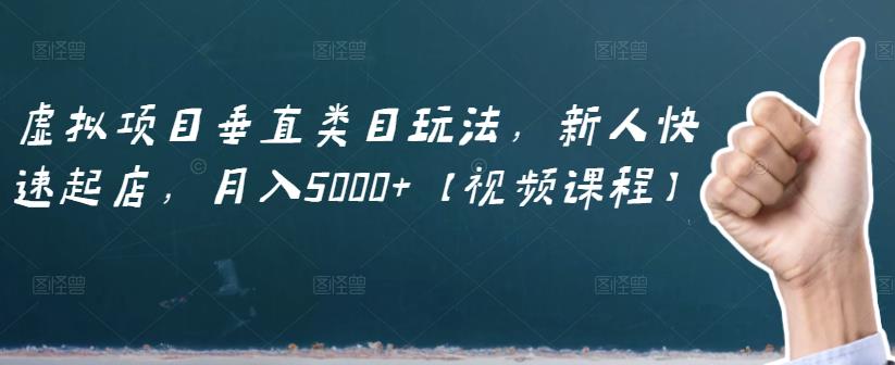 虚拟项目垂直类目玩法，新人快速起店，月入5000 【视频课程】_优优资源网