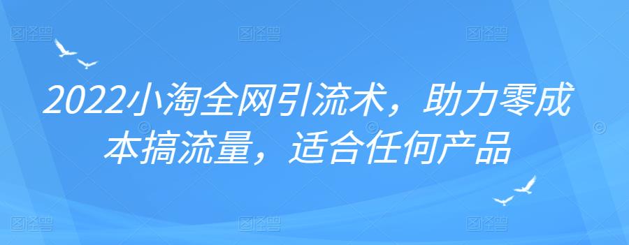 2022年小淘全网引流术，助力零成本搞流量，适合任何产品_优优资源网