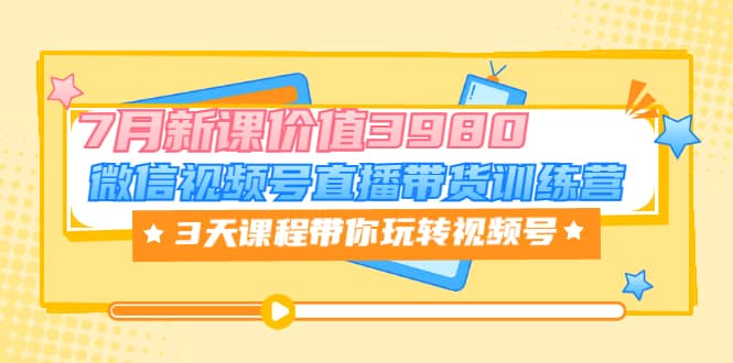 微信视频号直播带货训练营，3天课程带你玩转视频号：7月新课价值3980_优优资源网