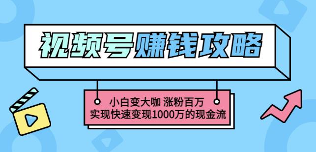 玩转微信视频号赚钱：小白变大咖涨粉百万实现快速变现1000万的现金流_优优资源网