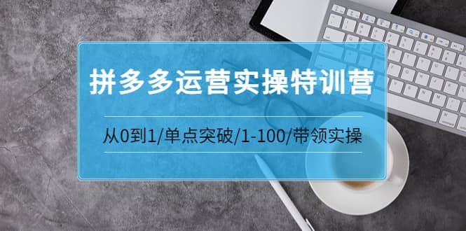 拼多多运营实操特训营：从0到1/单点突破/1-100/带领实操 价值2980元_优优资源网