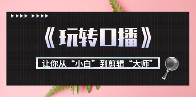 月营业额700万 大佬教您《玩转口播》让你从“小白”到剪辑“大师”_优优资源网