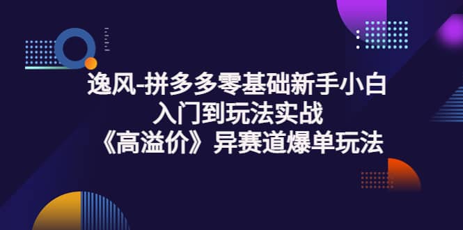 拼多多零基础新手小白入门到玩法实战《高溢价》异赛道爆单玩法实操课_优优资源网