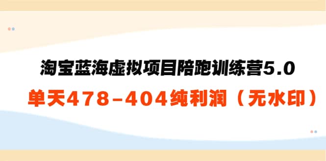 淘宝蓝海虚拟项目陪跑训练营5.0：单天478纯利润（无水印）_优优资源网