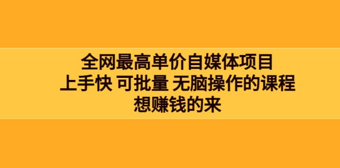 全网最单高价自媒体项目：上手快 可批量 无脑操作的课程，想赚钱的来_优优资源网