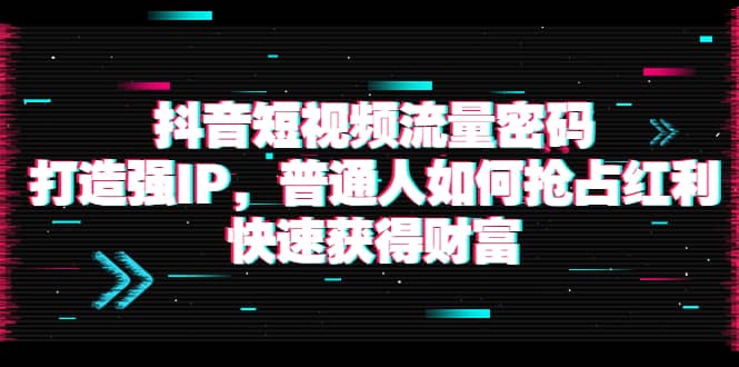 抖音短视频流量密码：打造强IP，普通人如何抢占红利，快速获得财富_优优资源网