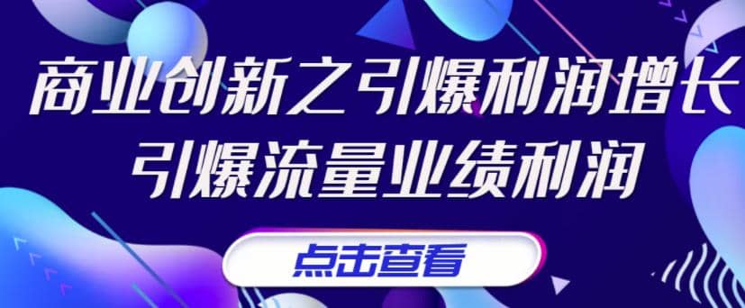 《商业创新之引爆利润增长》引爆流量业绩利润_优优资源网