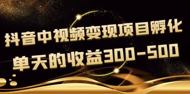 黄岛主《抖音中视频变现项目孵化》单天的收益300-500 操作简单粗暴_优优资源网