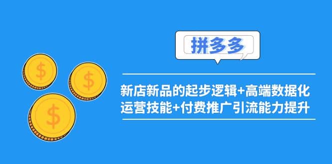 2022拼多多：新店新品的起步逻辑 高端数据化运营技能 付费推广引流能力提升_优优资源网