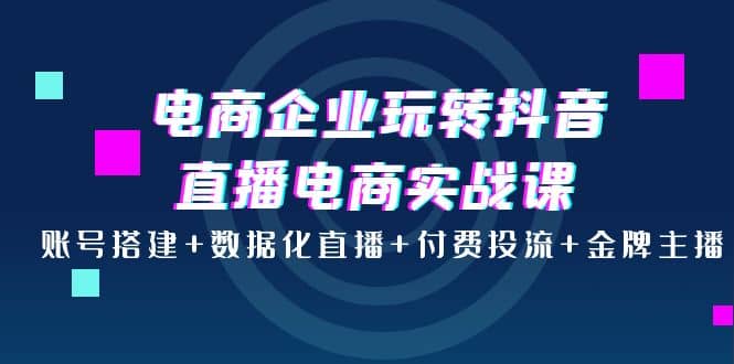 电商企业玩转抖音直播电商实战课：账号搭建 数据化直播 付费投流 金牌主播_优优资源网