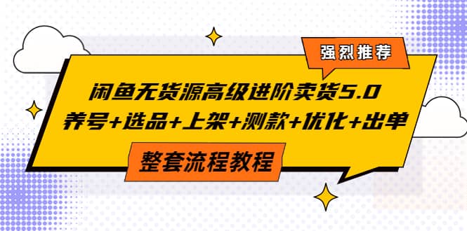 闲鱼无货源高级进阶卖货5.0，养号 选品 上架 测款 优化 出单整套流程教程_优优资源网