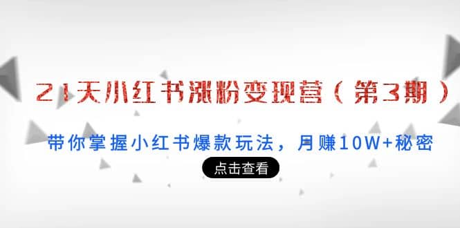 21天小红书涨粉变现营（第3期）：带你掌握小红书爆款玩法，月赚10W 秘密_优优资源网