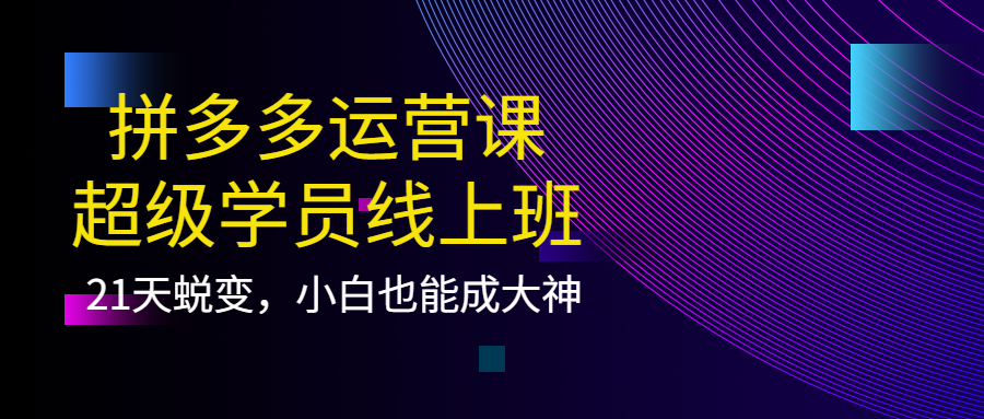 拼多多运营课：超级学员线上班，21天蜕变，小白也能成大神_优优资源网