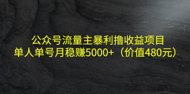 公众号流量主暴利撸收益项目，单人单号月稳赚5000 （价值480元）_优优资源网