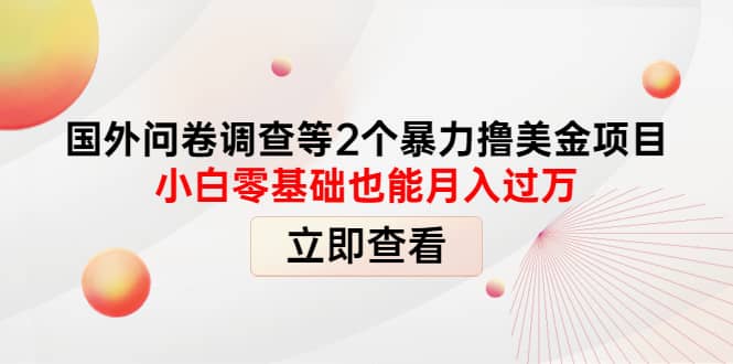 国外问卷调查等2个暴力撸美元项目，小白零基础也能月入过万_优优资源网