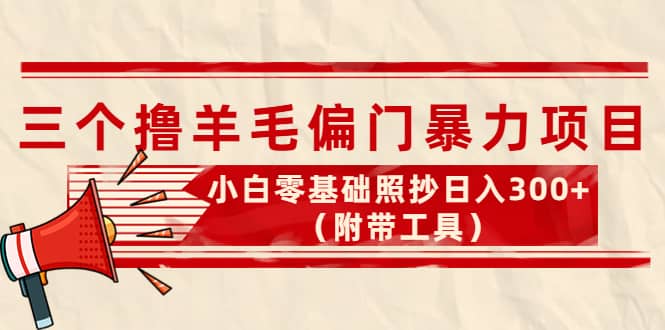 外面卖998的三个撸羊毛项目，小白零基础照抄（附带工具）_优优资源网