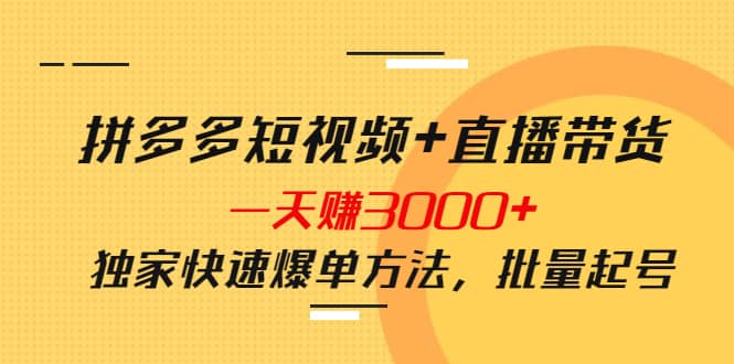 拼多多短视频 直播带货，一天赚3000 独家快速爆单方法，批量起号_优优资源网