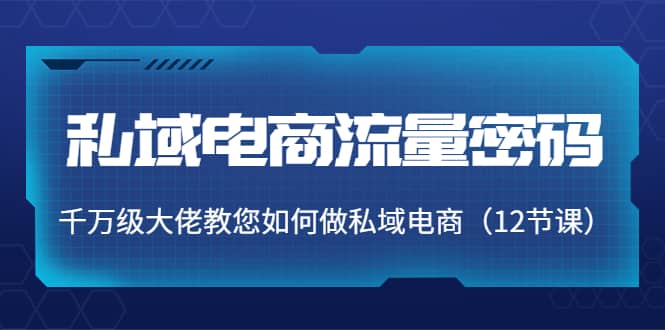 私域电商流量密码：千万级大佬教您如何做私域电商（12节课）_优优资源网