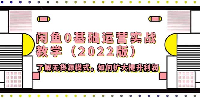 闲鱼0基础运营实战教学（2022版）了解无货源模式，如何扩大提升利润_优优资源网