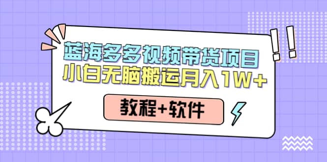 人人都能操作的蓝海多多视频带货项目 小白无脑搬运（教程 软件）_优优资源网