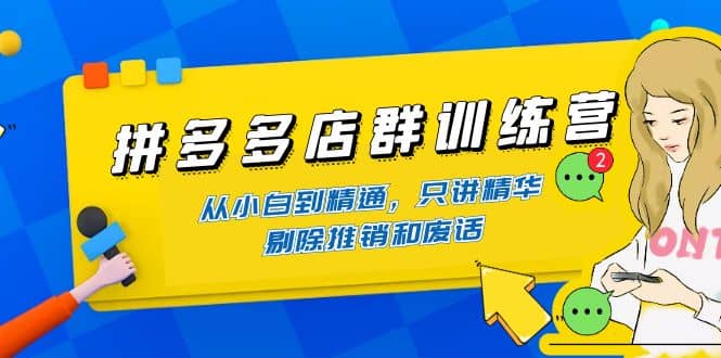 拼多多店群训练营：从小白到精通，只讲精华，剔除推销和废话_优优资源网