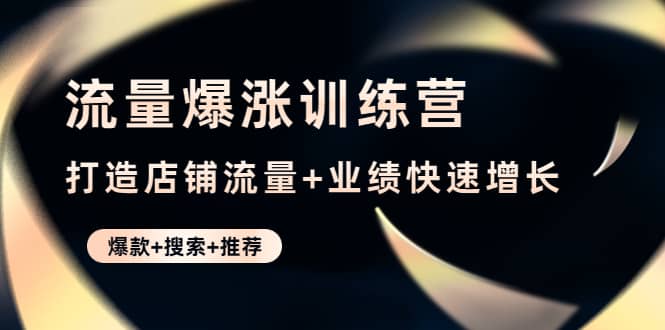 流量爆涨训练营：打造店铺流量 业绩快速增长 (爆款 搜索 推荐)_优优资源网