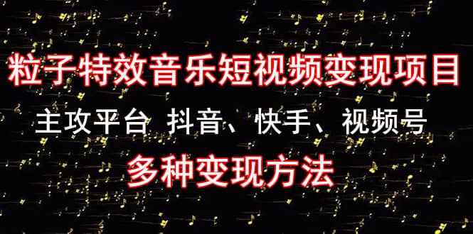 《粒子特效音乐短视频变现项目》主攻平台 抖音、快手、视频号 多种变现方法_优优资源网