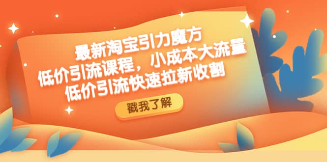 最新淘宝引力魔方低价引流实操：小成本大流量_优优资源网