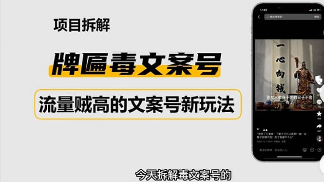 2023抖音快手毒文案新玩法，牌匾文案号，起号快易变现_优优资源网