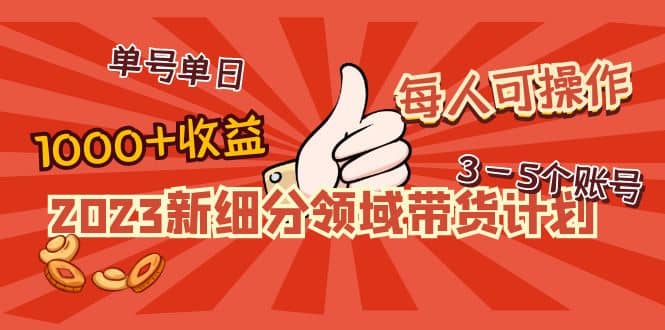 2023新细分领域带货计划：单号单日1000 收益不难，每人可操作3-5个账号_优优资源网