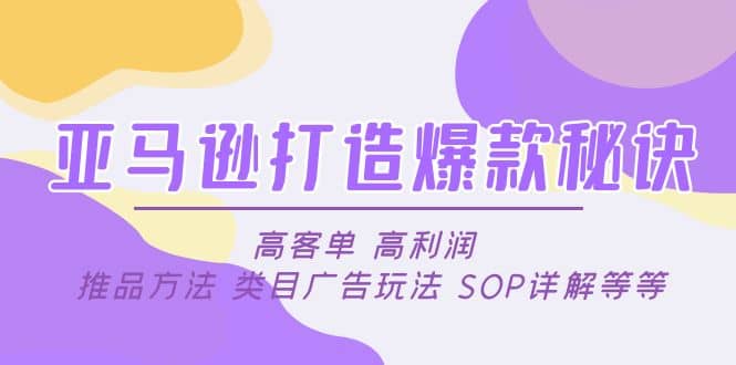 亚马逊打造爆款秘诀：高客单 高利润 推品方法 类目广告玩法 SOP详解等等_优优资源网