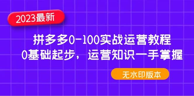 2023拼多多0-100实战运营教程，0基础起步，运营知识一手掌握（无水印）_优优资源网