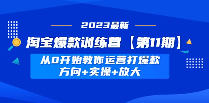 淘宝爆款训练营【第11期】 从0开始教你运营打爆款，方向 实操 放大_优优资源网