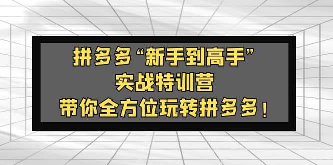 拼多多“新手到高手”实战特训营：带你全方位玩转拼多多_优优资源网