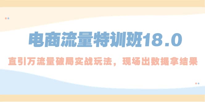 电商流量特训班18.0，直引万流量破局实操玩法，现场出数据拿结果_优优资源网