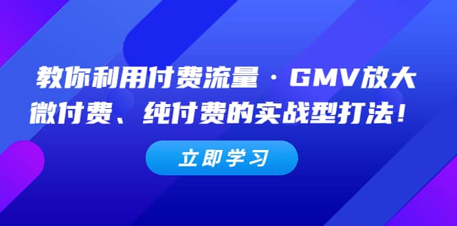 教你利用付费流量·GMV放大，微付费、纯付费的实战型打法_优优资源网