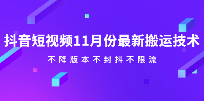 抖音短视频11月份最新搬运技术，不降版本不封抖不限流！【视频课程】_优优资源网