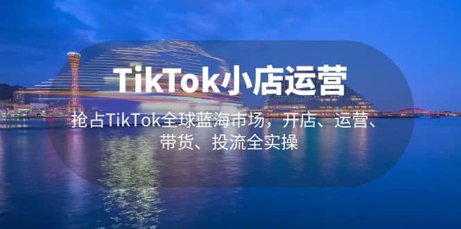 TikTok小店运营 抢占TikTok全球蓝海市场，开店、运营、带货、投流全实操_优优资源网