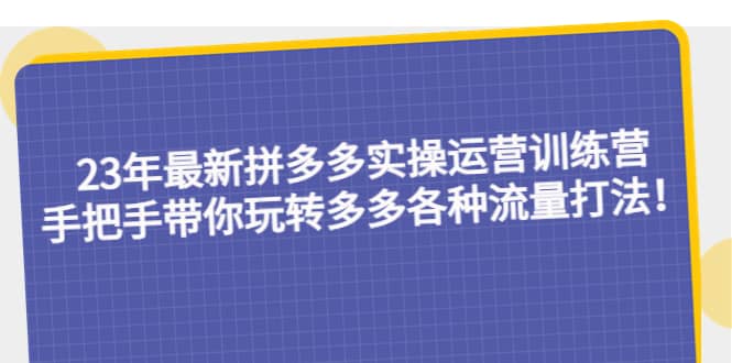 23年最新拼多多实操运营训练营：手把手带你玩转多多各种流量打法！_优优资源网