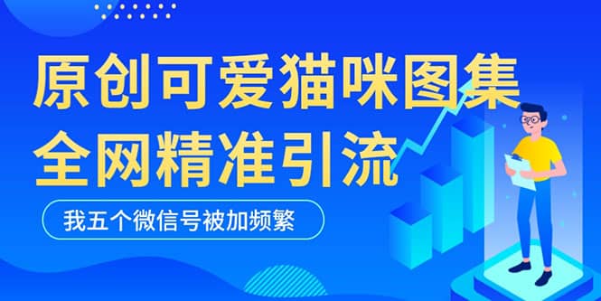 黑科技纯原创可爱猫咪图片，全网精准引流，实操5个VX号被加频繁_优优资源网