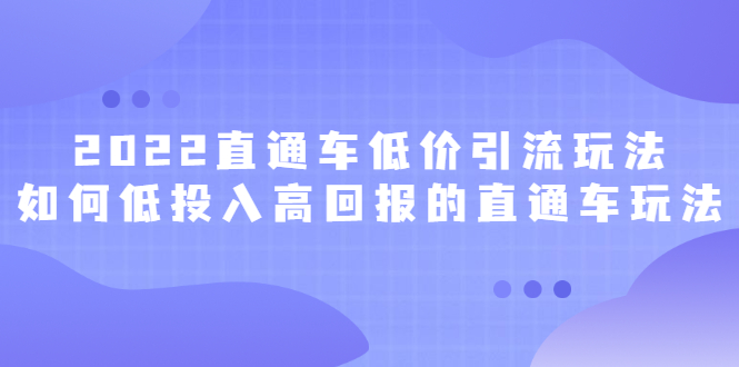 2022直通车低价引流玩法，教大家如何低投入高回报的直通车玩法_优优资源网