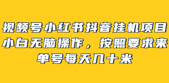 视频号小红书抖音挂机项目，小白无脑操作，按照要求来，单号每天几十米_优优资源网