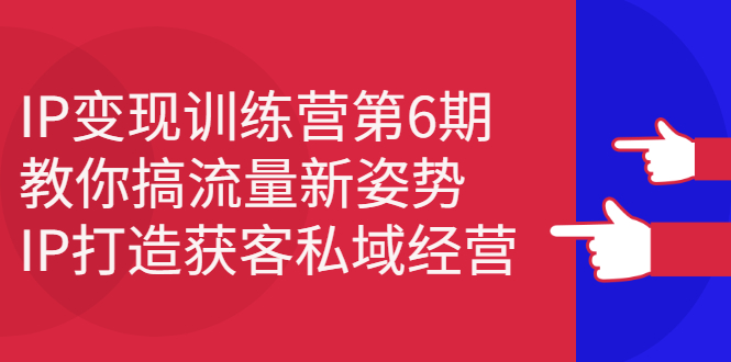 IP变现训练营第6期：教你搞流量新姿势，IP打造获客私域经营_优优资源网