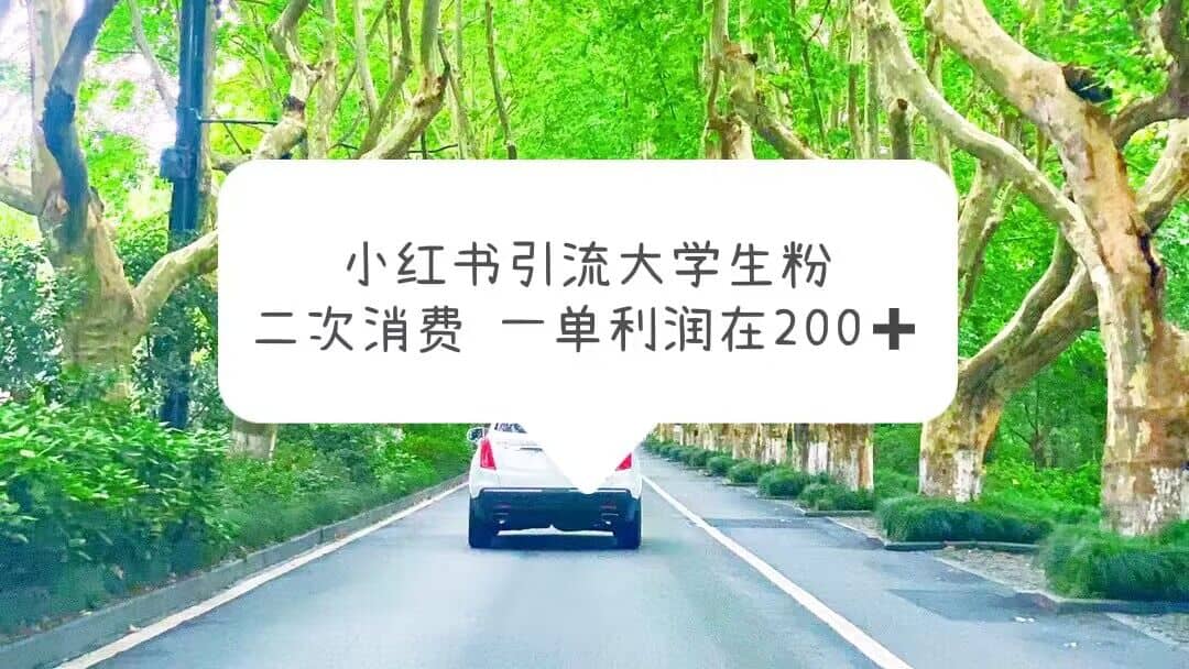 小红书引流大学生粉，变现项目，一单利润在200 （教程 资源）_优优资源网