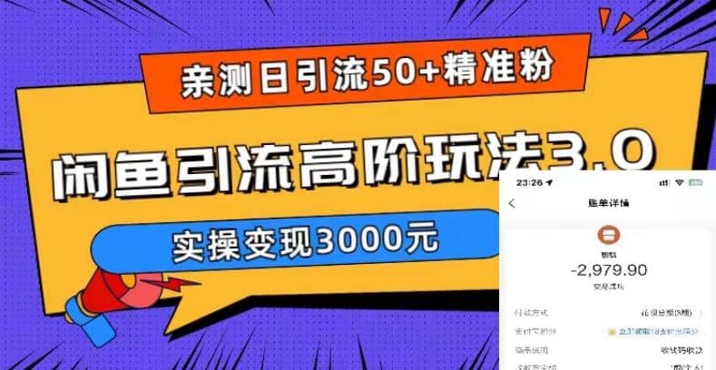 实测日引50 精准粉，闲鱼引流高阶玩法3.0，实操变现3000元_优优资源网